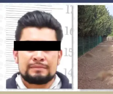 Sentencian a hombre a 6 años de cárcel por causar muerte de 32 venados