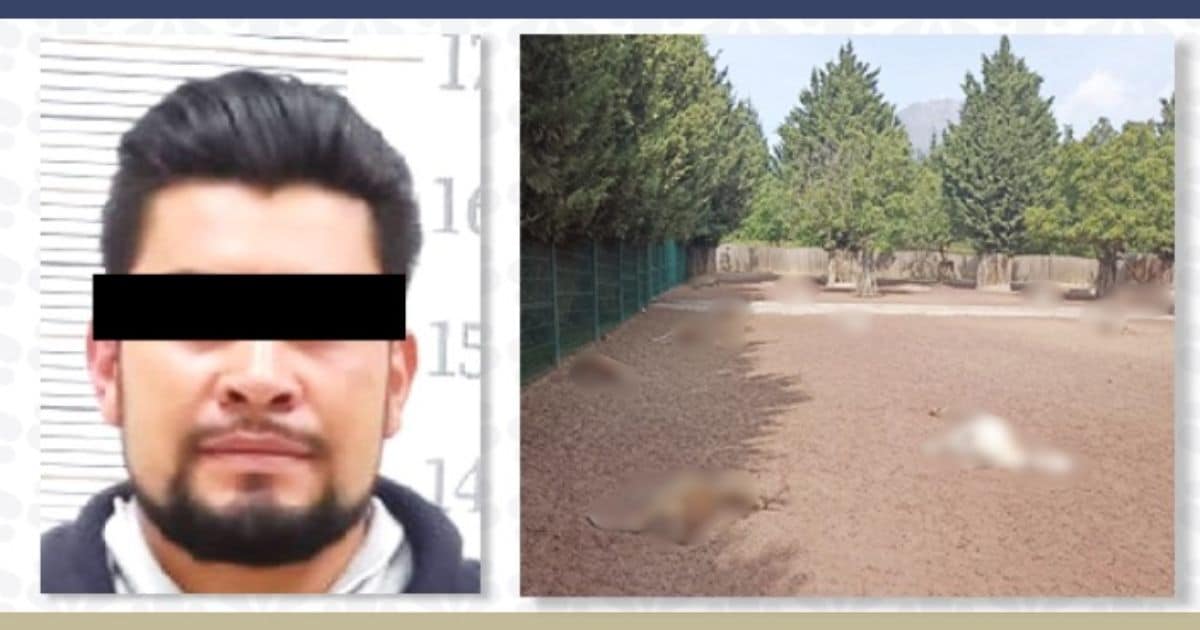 Sentencian a hombre a 6 años de cárcel por causar muerte de 32 venados
