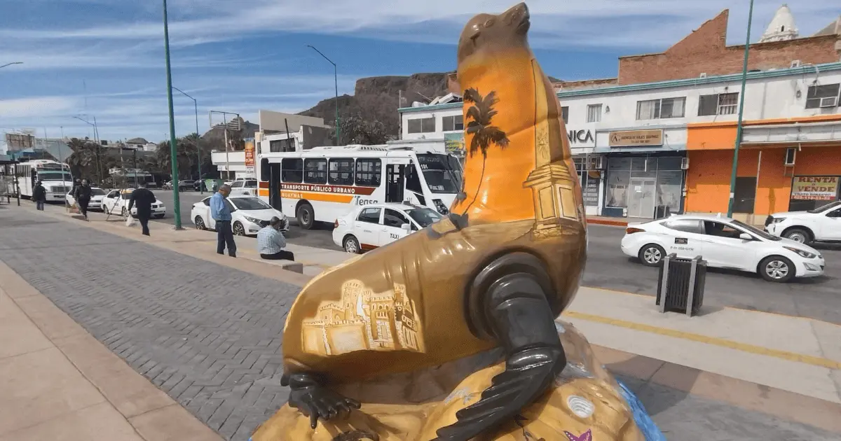 Instalan el segundo lobo marino en Guaymas 