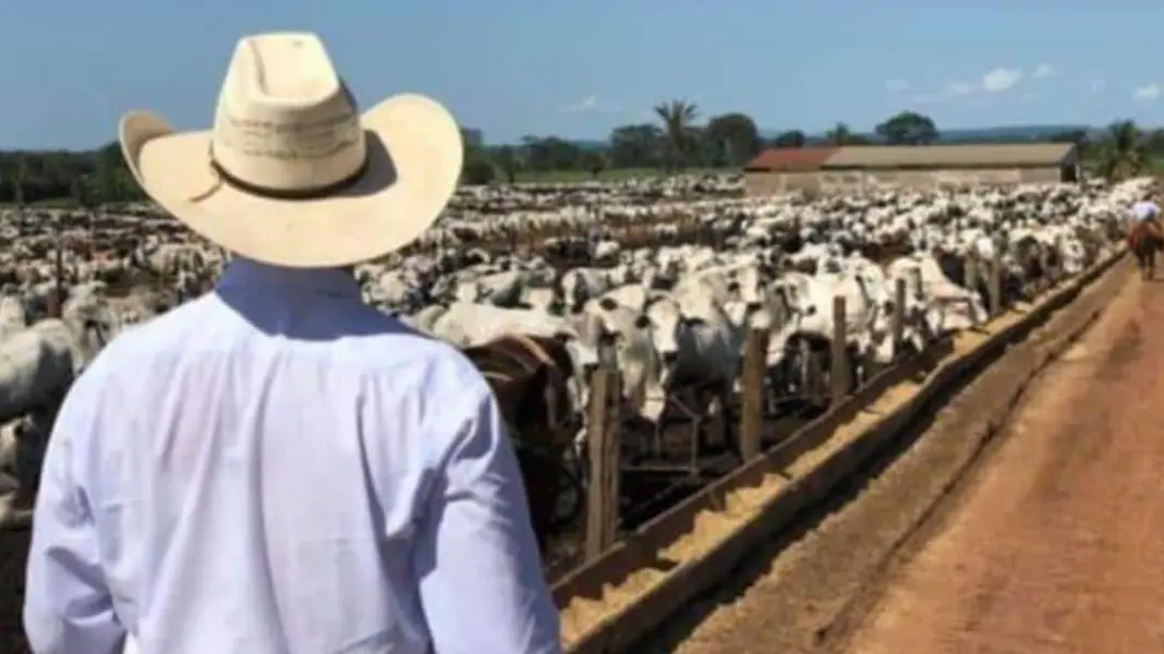 UGRS pide cerrar importación de ganado ante crisis por gusano barrenador