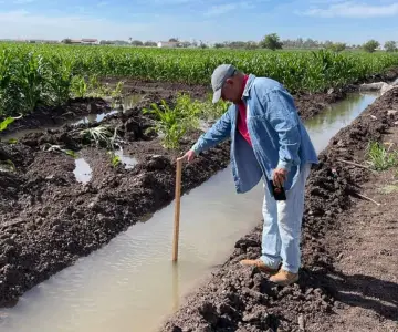 Sequía deja sin riego a 80% del Valle del Yaqui