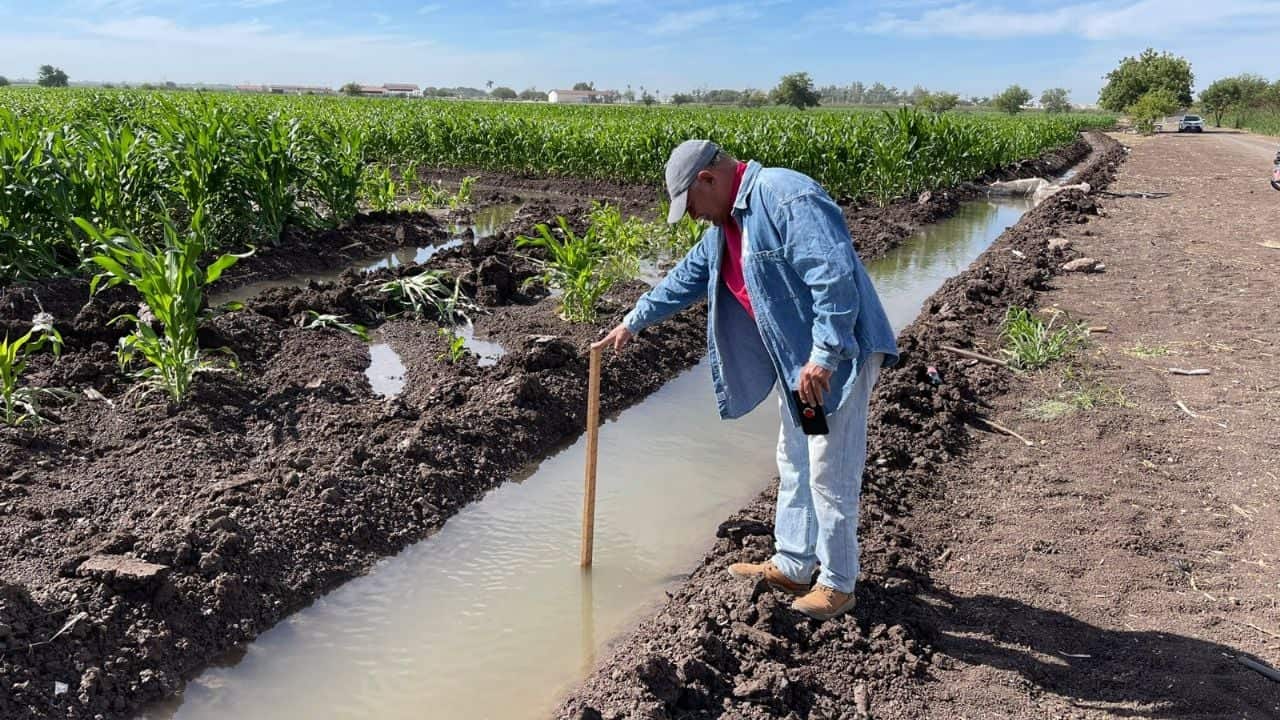 Sequía deja sin riego a 80% del Valle del Yaqui