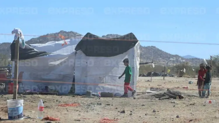Múltiples casas improvisadas con lonas fueron instaladas en el predio. (Foto: Ramón Munguía/EXPRESO)