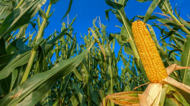 Participarán los secretarios de Estado involucrados en la legislación. (Foto: Ilustrativa/EXPRESO)