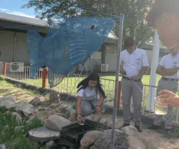 Alumnos logran con éxito la conservación del pez pupo