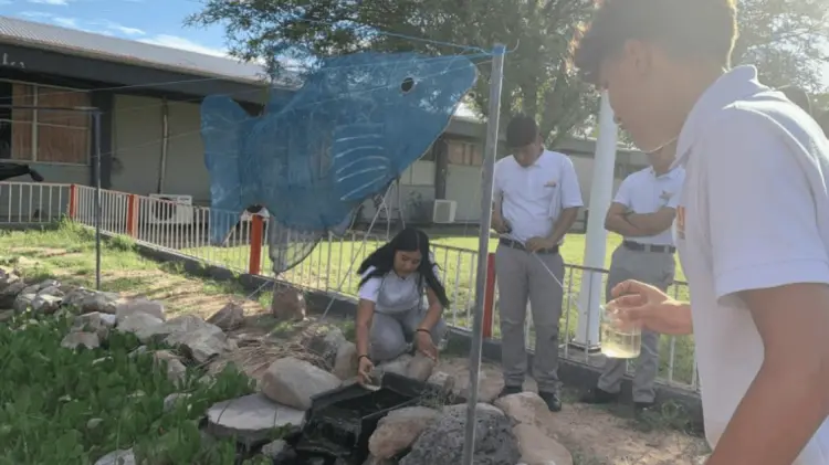 El estanque que en 2023 tenía 96 peces, ahora ya tiene 967. Foto: Especial.