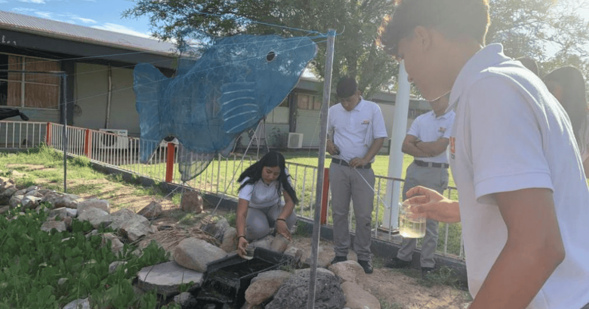 Alumnos logran con éxito la conservación del pez pupo