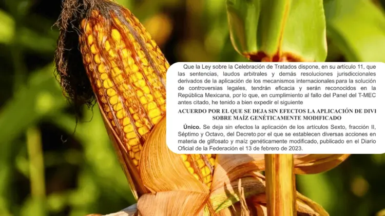 El acuerdo fue publicado en el DOF. (Foto: especial/EXPRESO)