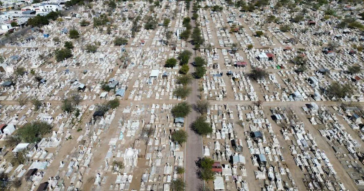 Buscan plantar más de 7 mil árboles en el Panteón Yáñez