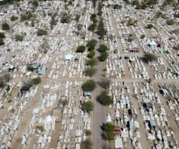Buscan plantar más de 7 mil árboles en el Panteón Yáñez
