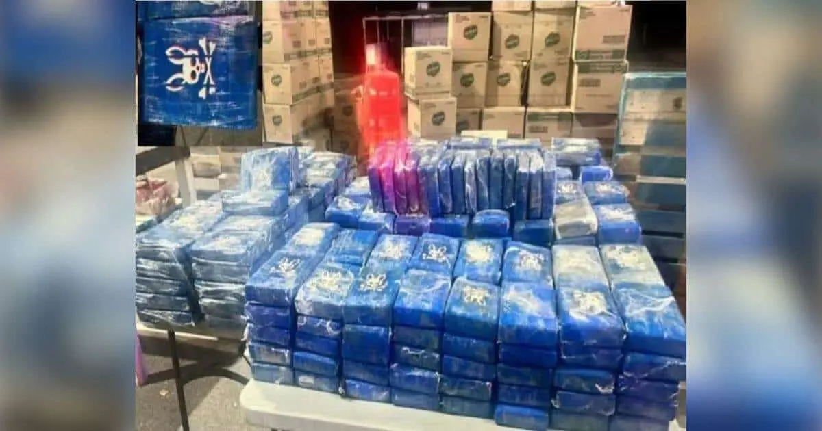 Incautan 380 paquetes con cocaína ocultos en un tractocamión en SLRC
