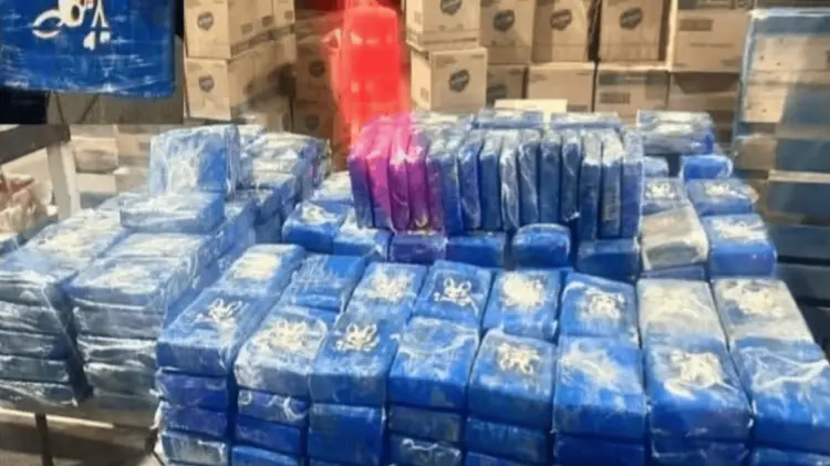 Los paquetes estaban escondidos entre la mercancía de alimentos dentro de un tractocamión. 