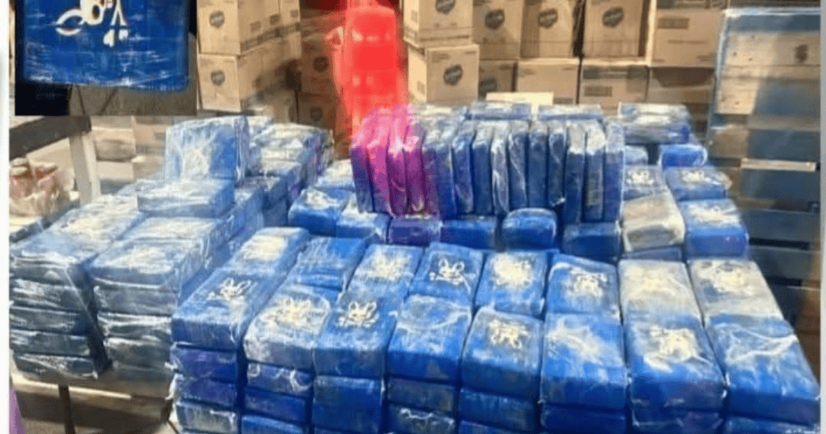 Decomisan narcóticos en San Luis Río Colorado