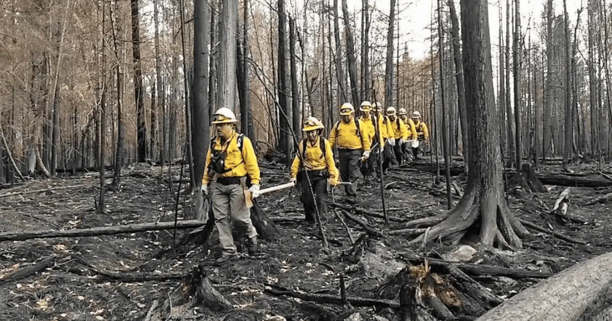 Podrían incrementar los incendios forestales por sequía