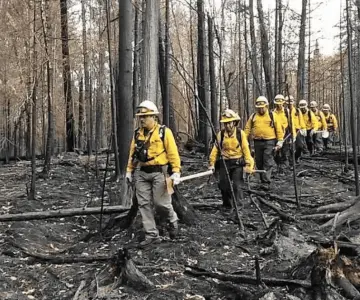 Podrían incrementar los incendios forestales por sequía