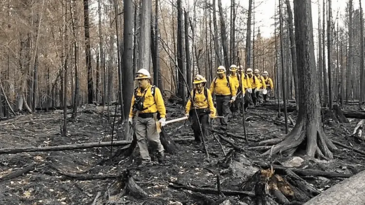 Protección Civil cuenta con un protocolo en caso de incendios forestales. Foto: Especial.