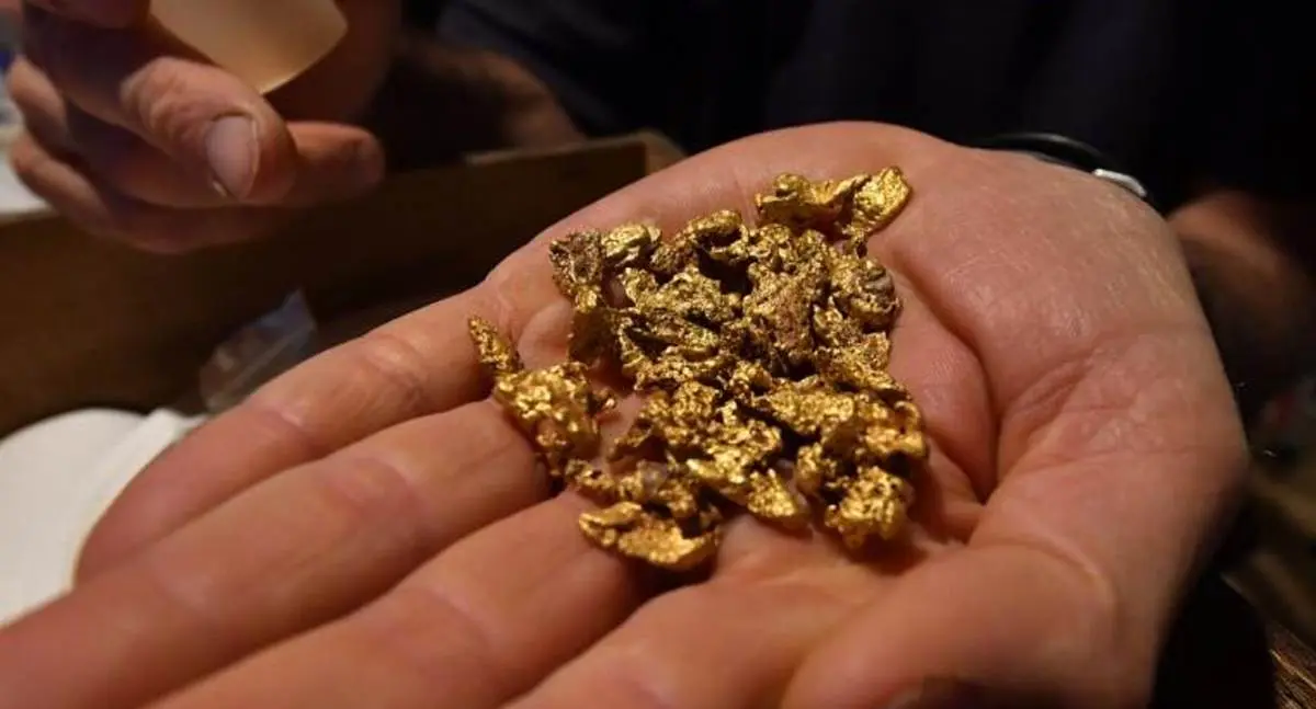 Científicos descubren método para extraer oro de electrodomésticos
