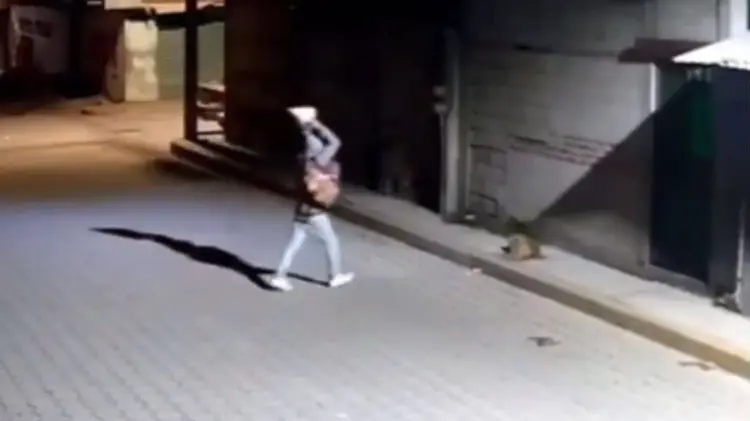 El ataque quedó captado por una cámara de vigilancia. (Foto: Captura de video)