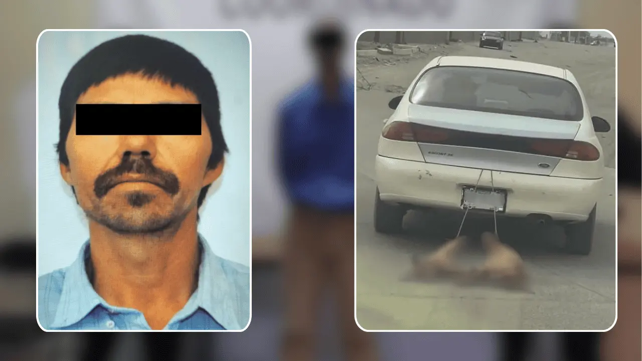Imputan a Bernardo N por arrastrar a dos perros y causarles la muerte