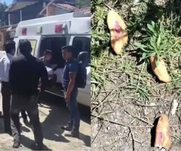 Mueren tres menores por comer pan envenenado; detienen a dos hombres