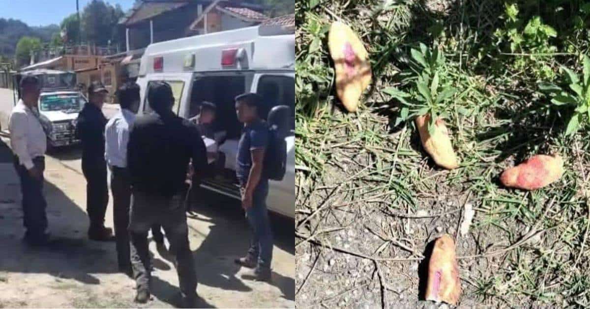 Mueren tres menores por comer pan envenenado; detienen a dos hombres