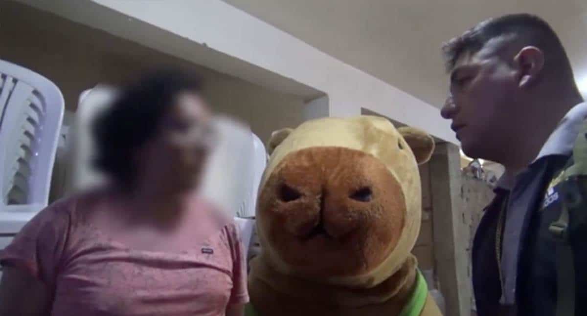 Policía se disfraza de capibara y captura a narcotraficante en Perú