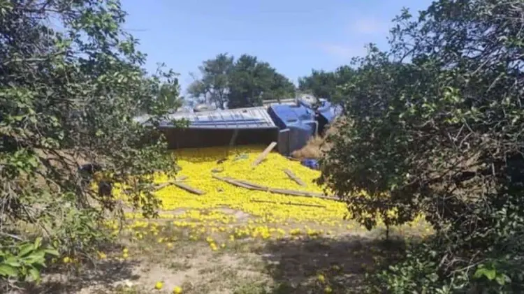 El accidente ocurrió en el municipio de Padilla, Tamaulipas. (Foto: Redes)
