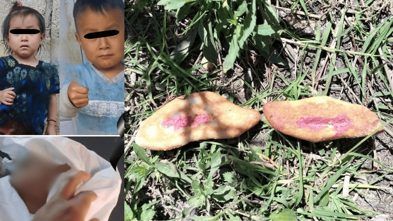 Descartan muerte de niños por comer pan envenenado; necropsia revela causa