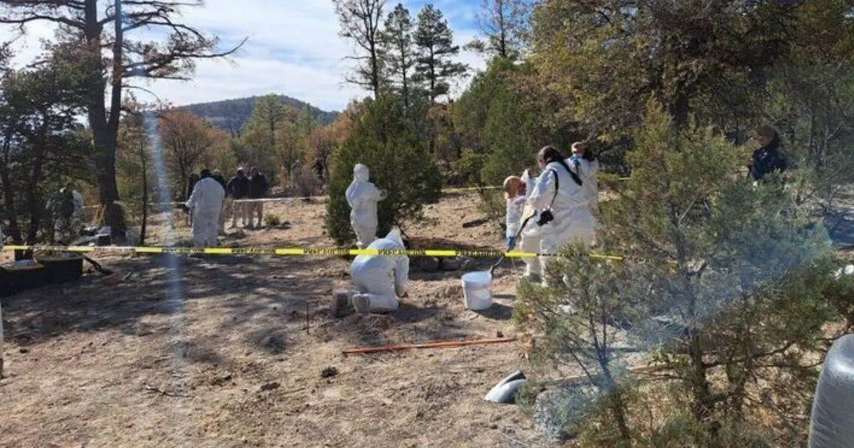 Suman 81 cuerpos hallados en fosas clandestinas en predio El Willy en Chihuahua