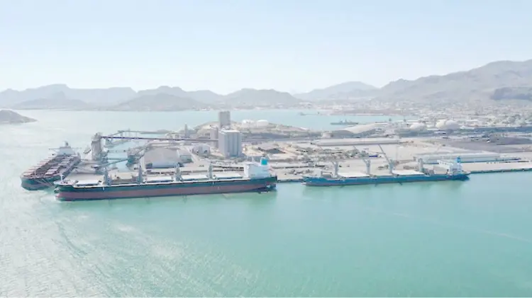 La exportación aumentó 11.5 por ciento respecto al año anterior. (Foto: Especial/EXPRESO)