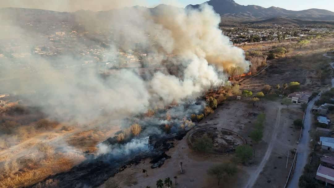 Combaten fuerte incendio de maleza en Magdalena de Kino