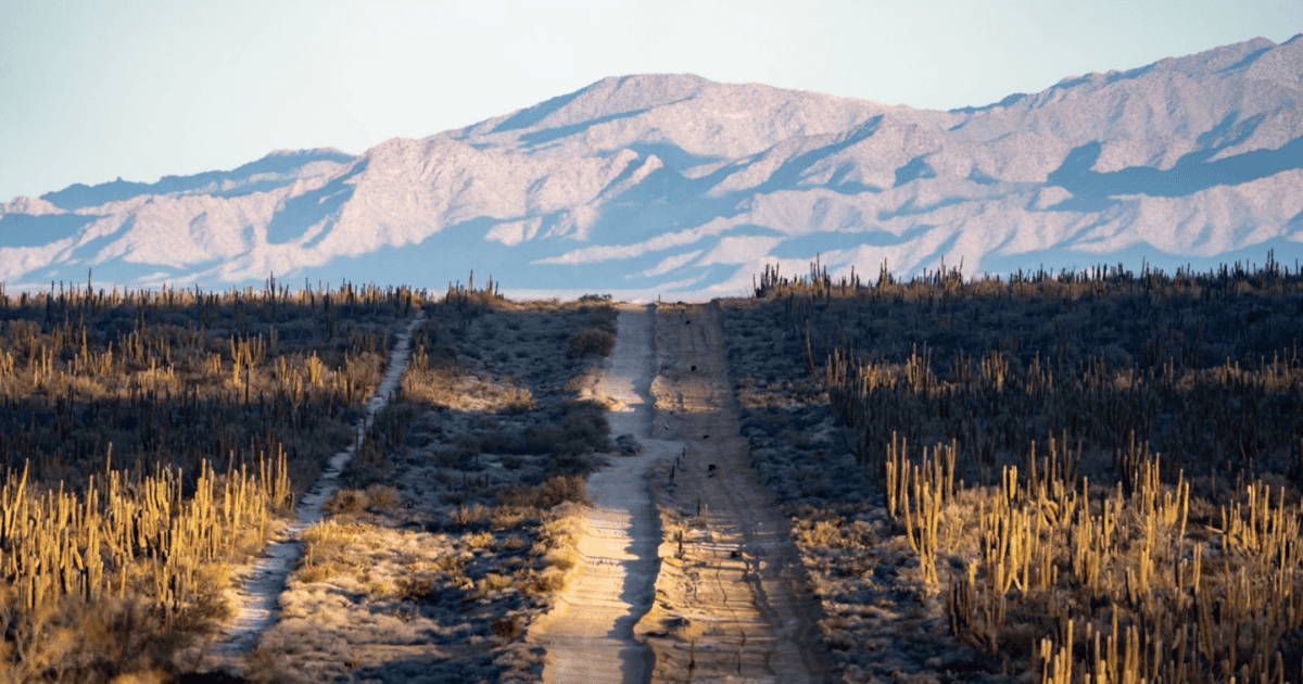 Los comca’ac protegen flora y fauna de la zona