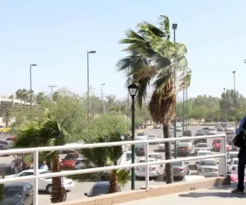Alerta CEPC por fuertes vientos este fin de semana