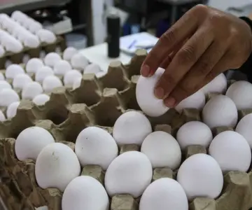 Estados Unidos prohíbe ingreso de huevo mexicano
