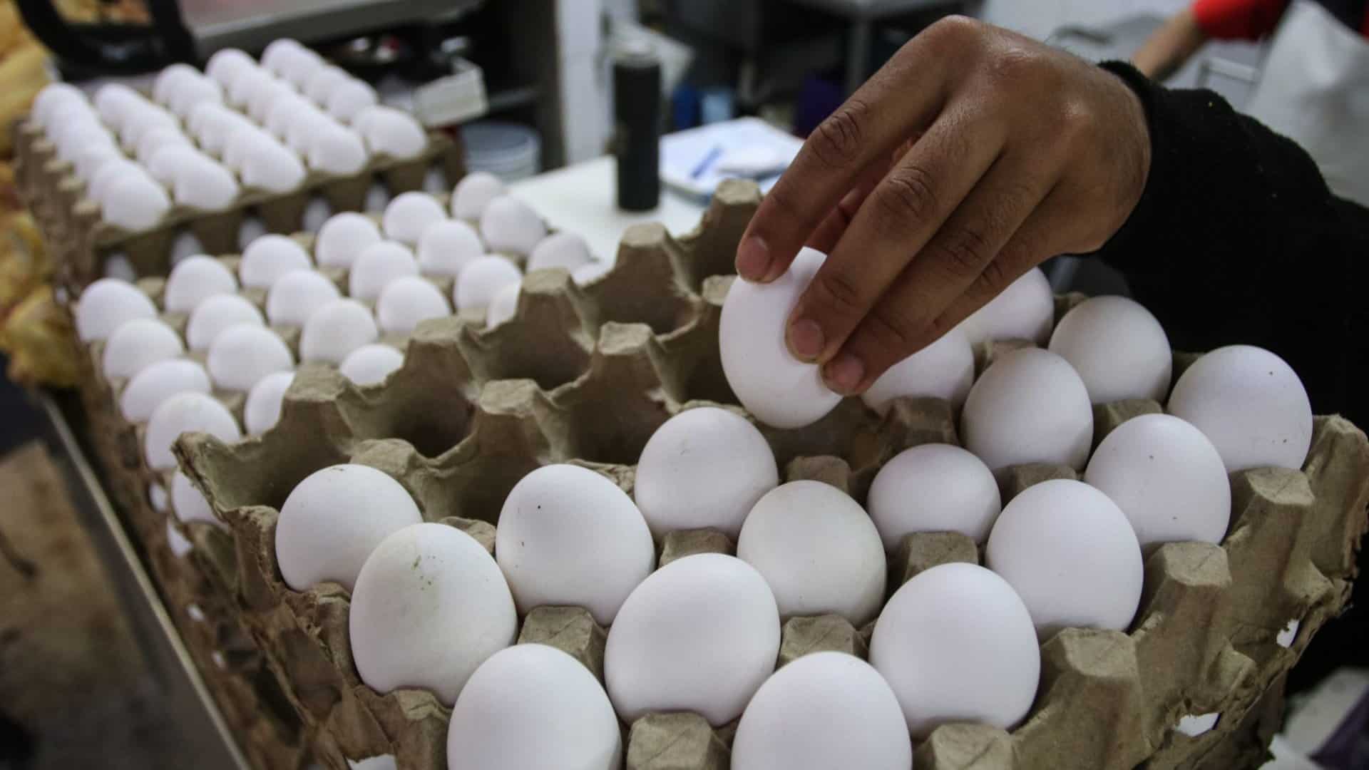 Estados Unidos prohíbe ingreso de huevo mexicano