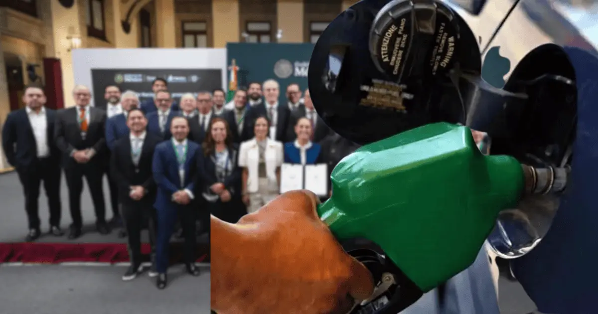 Estas son las 16 empresas que fijarán la gasolina en 24 pesos