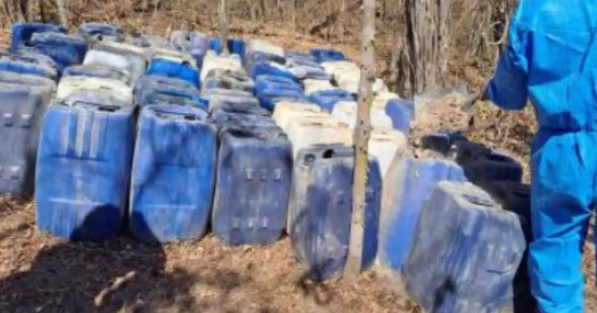 Aseguran 14 laboratorios clandestinos durante operativos en Sinaloa