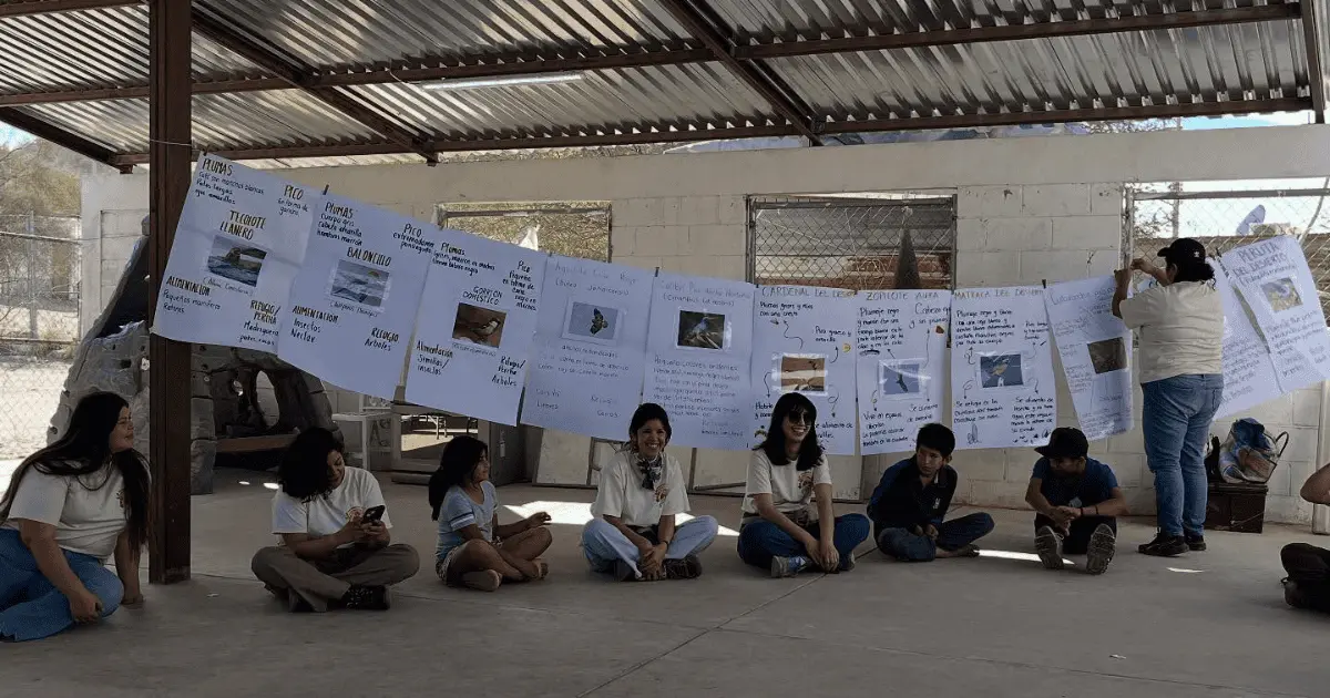Niños aprenden en el Comedor Golondrinas