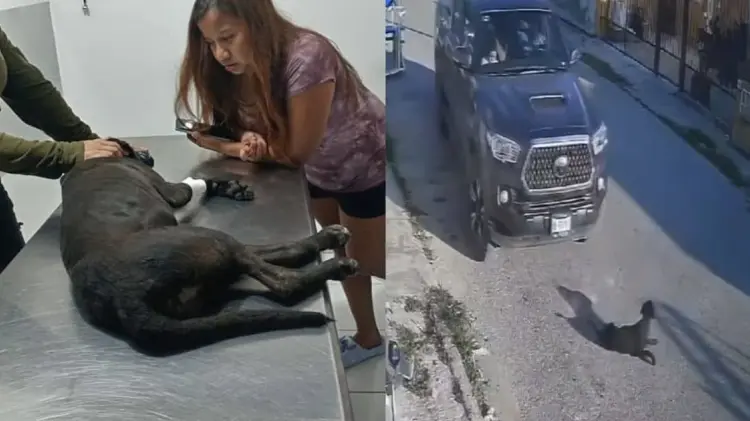 En redes han circulado imágenes de lo ocurrido en Kanasín, Yucatán. (Foto: Redes)
