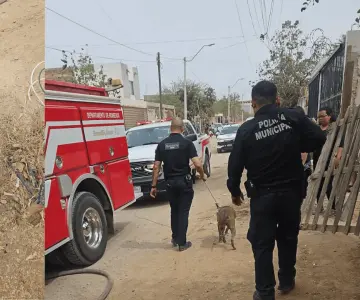 Rescatan a dos perros durante incendio en la colonia Laura Alicia Frías