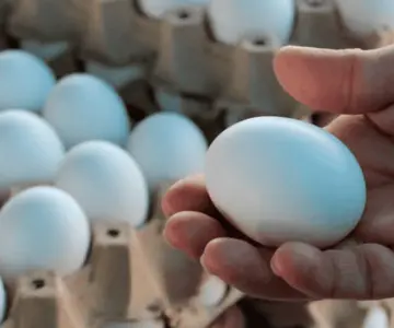 Retiran 2 millones de huevos por brote de salmonela