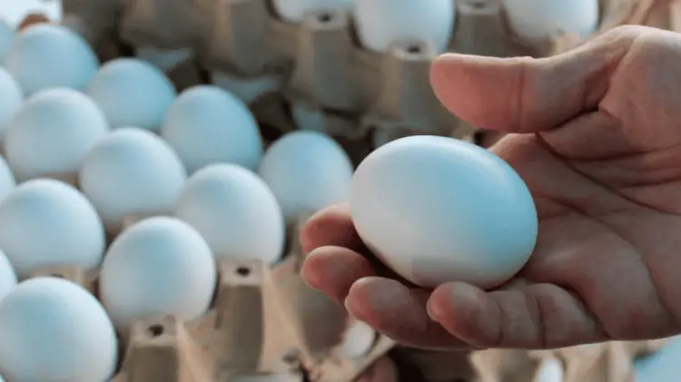 Foto: Especial / EXPRESO.