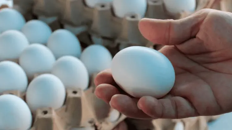 Las multas por ingresar huevo va de los 300 a los 500 dólares. Foto: Especial.