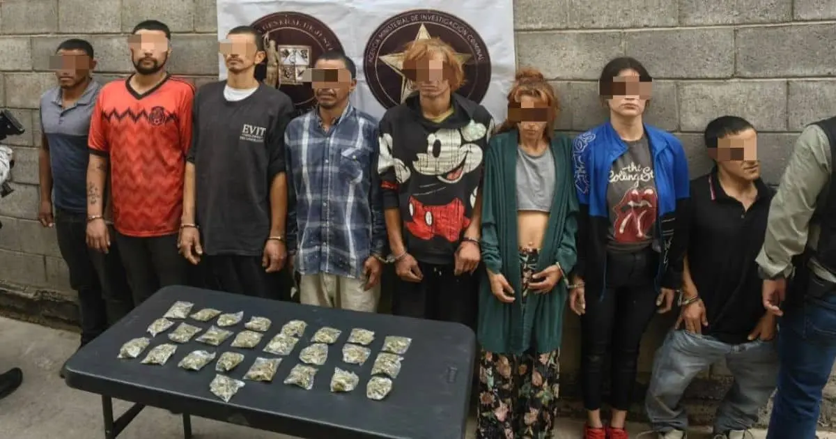 Detienen a ocho personas tras cateo en colonia Paseo de Palmas