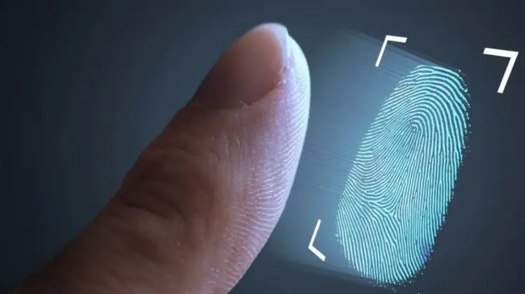 Foto: Especial / EXPRESO.