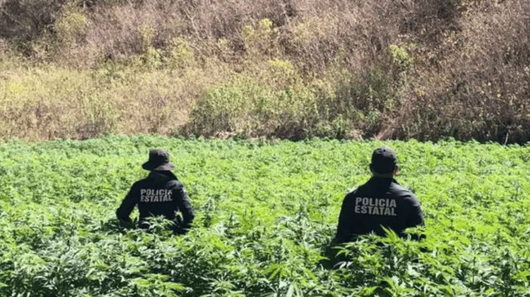 Elementos de inteligencia de la Policía Estatal realizaron el operativo. (Foto: Cortesía)