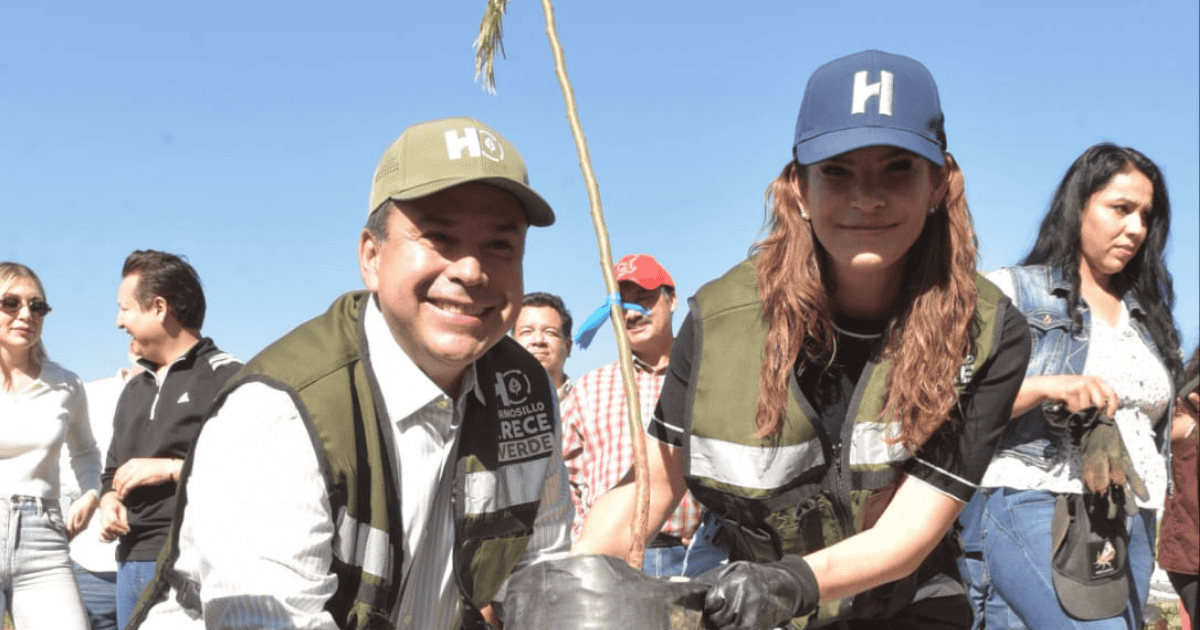 Hermosillo recibe el distintivo Ciudad Árbol del Mundo 2024