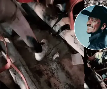 Exponen plaga de cucarachas en concierto de Nodal en la Plaza de Toros