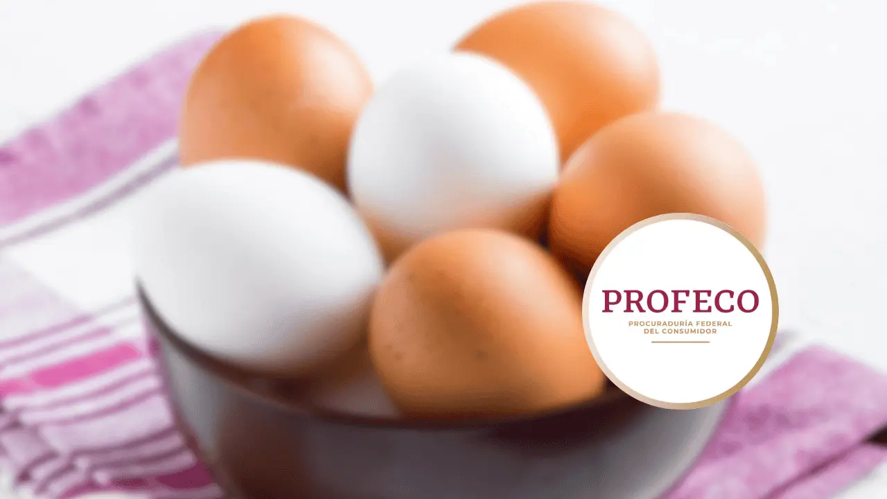 Así debes elegir y conservar los huevos de forma segura, según Profeco