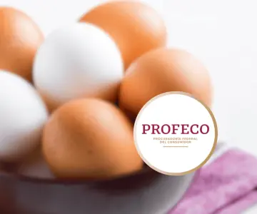 Así debes elegir y conservar los huevos de forma segura, según Profeco